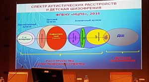 Доклад Симашковой